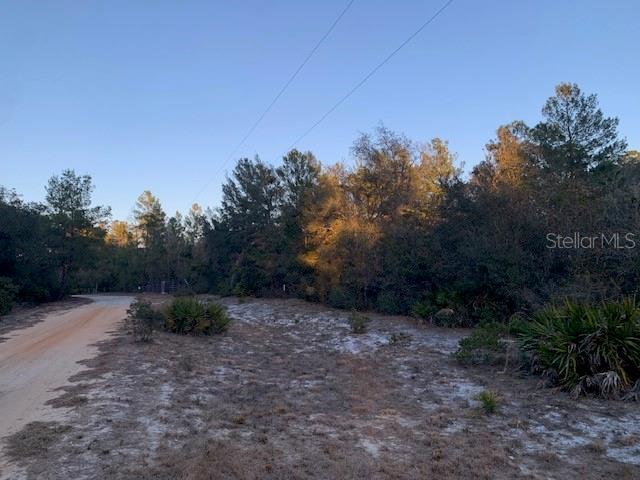 LAKE GEORGE MANOR - Land