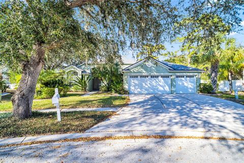 Photo of 13735 Antler Point Drive, Tampa, FL 33626 (MLS # TB8350508)