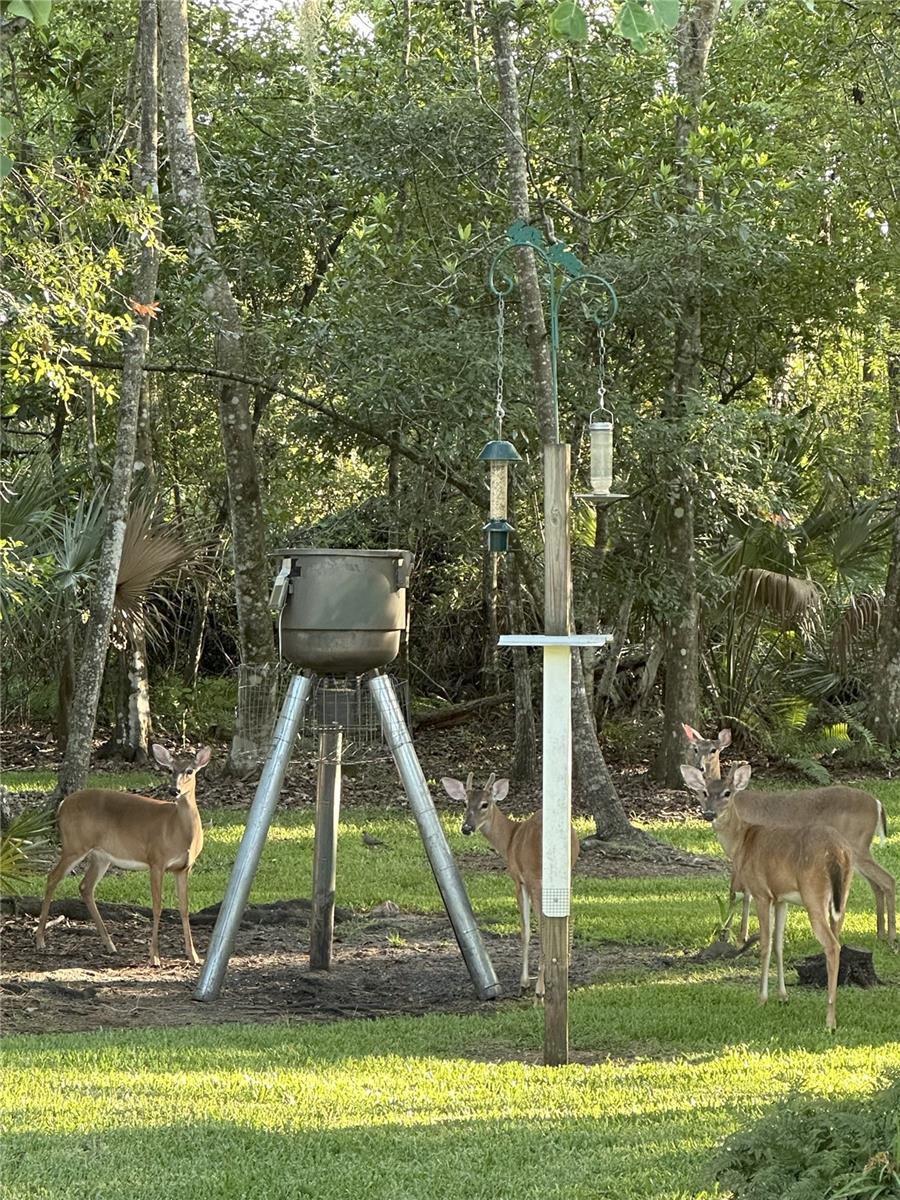 PICKETT DOWNS UNIT 4 - Residential