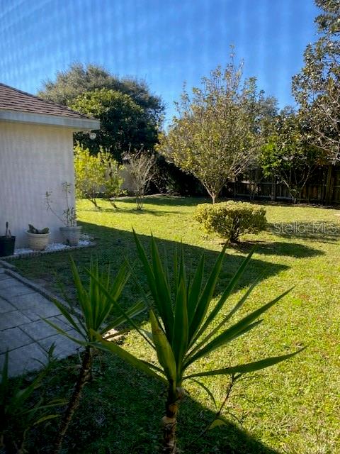 PALM HARBOR - Residential