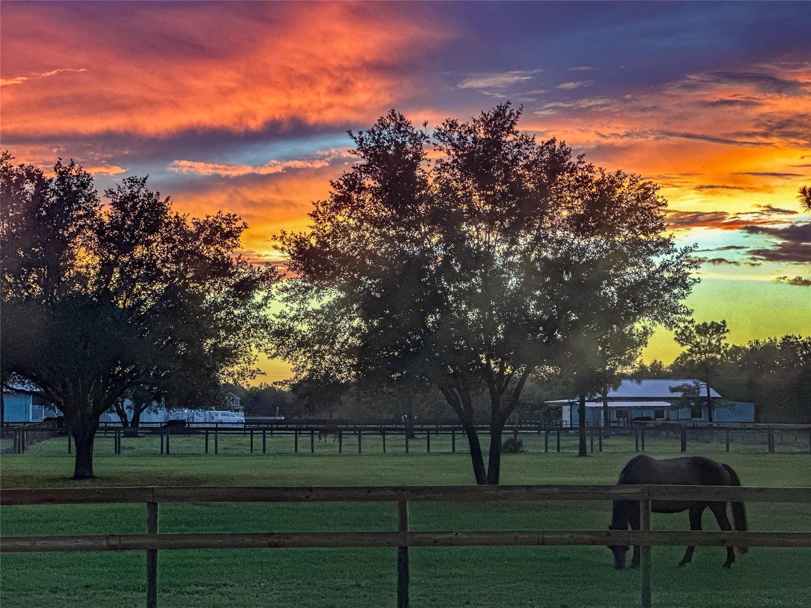 POMELLO PARK - Residential