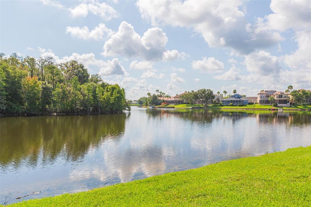 Photo of 10725 Cory Lake Drive, Tampa, FL 33647 (MLS # TB8411615)