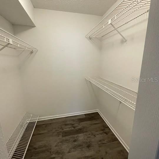 CLUB AT FEATHER SOUND THE CONDO - Residential Lease