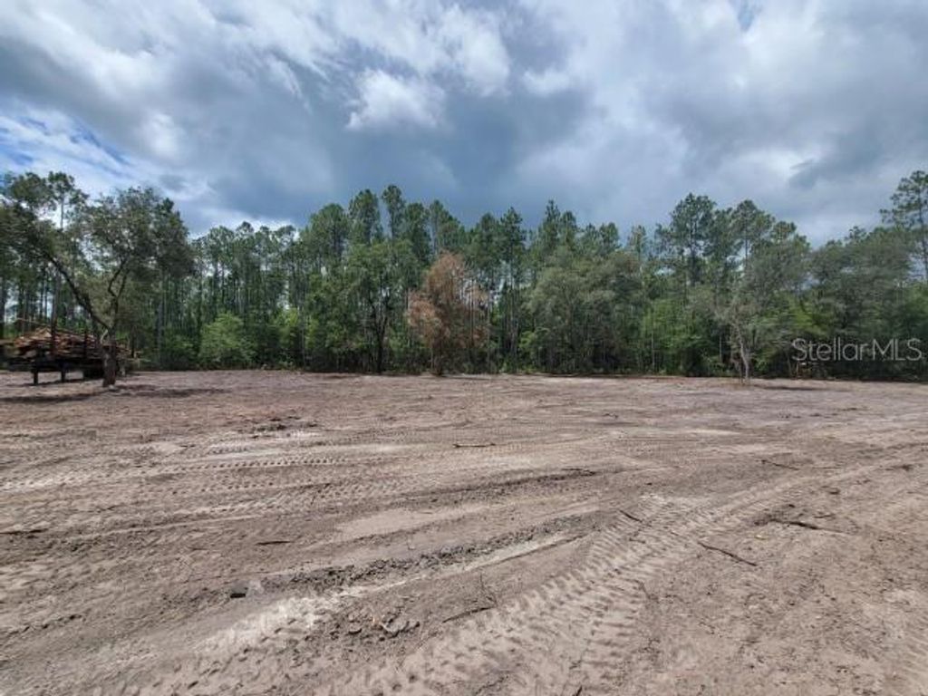 Photo of 4325 Cedar Ford Boulevard, Hastings, FL 32145 (MLS # FC319991)