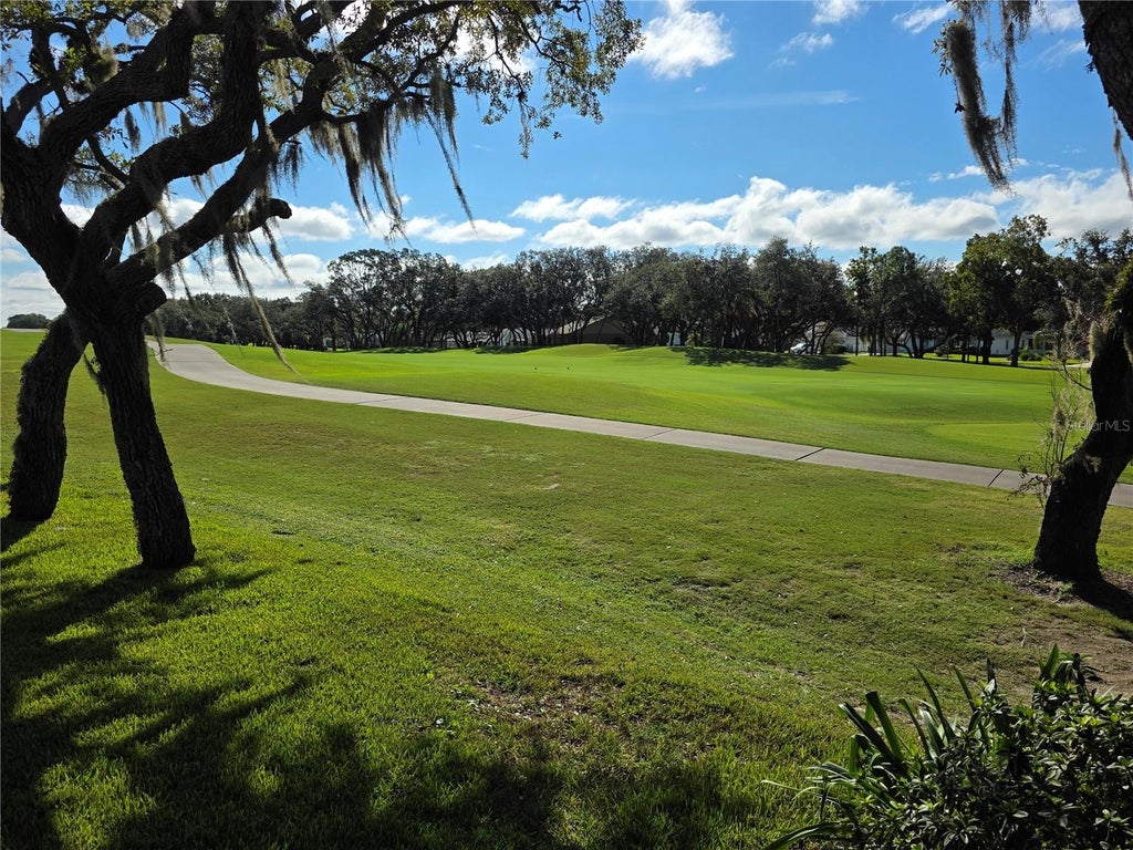 Photo of 7358 Woodhollow Road, Spring Hill, FL 34606 (MLS # W7889845)