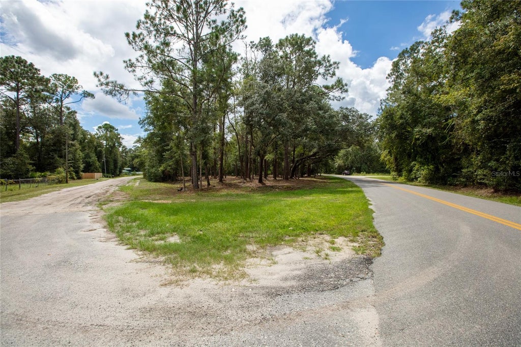 Photo of W Hillsborough Avenue, Florahome, FL 32140 (MLS # GC543416)