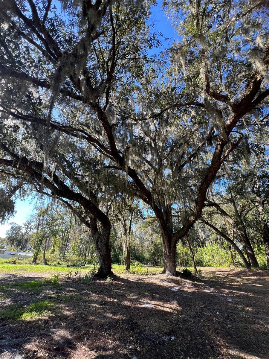 PIPPIN ACRES - Residential