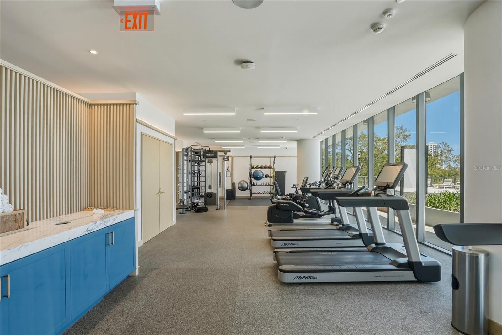 RITZ CARLTON RESIDENCES - Residential