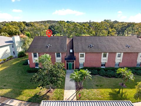 214 CARYL WAY OLDSMAR FL 34677