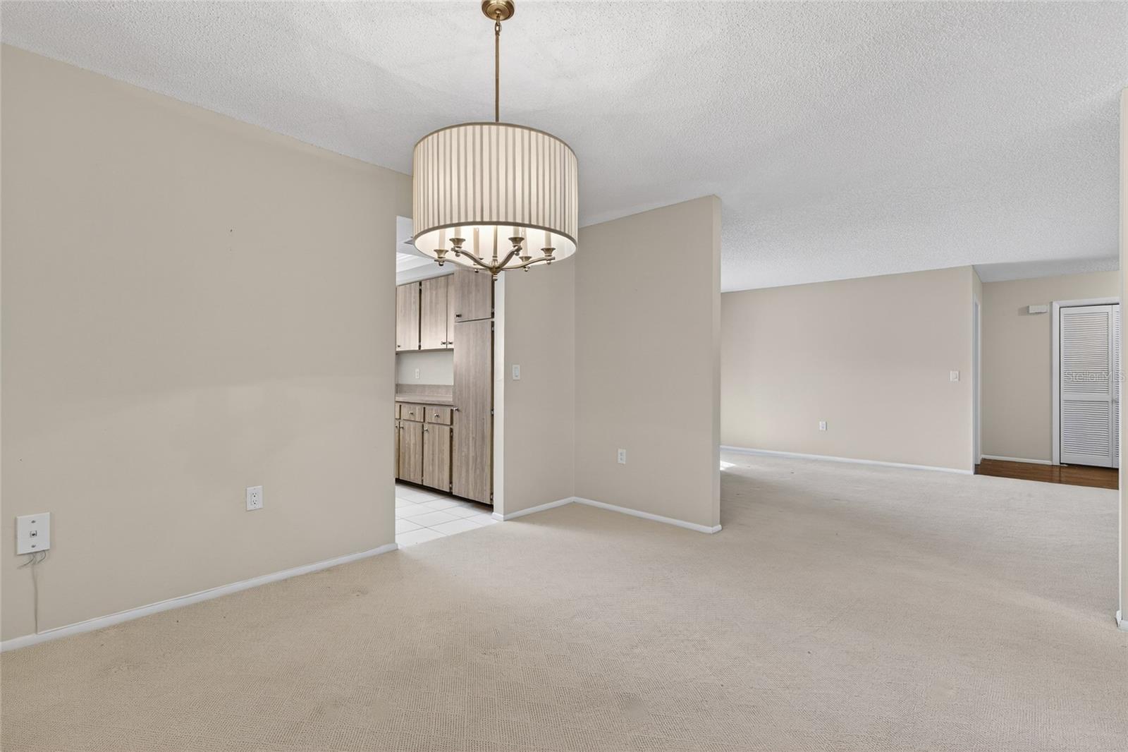EAST LAKE WOODLANDS CONDO - Residential