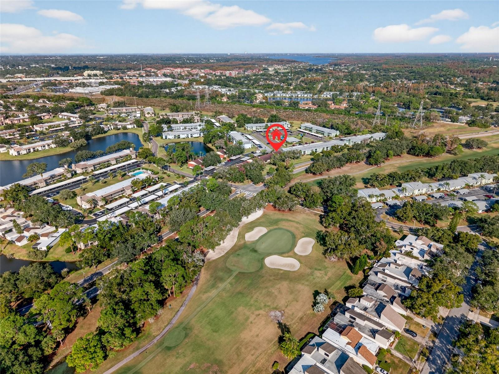 EAST LAKE WOODLANDS CONDO - Residential