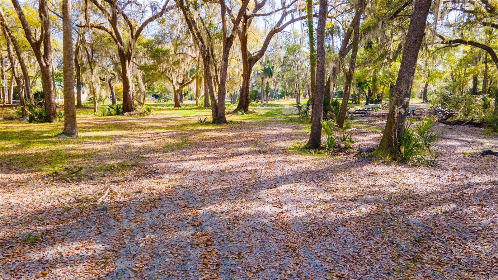 480 CLINTON CEMETERY ROAD