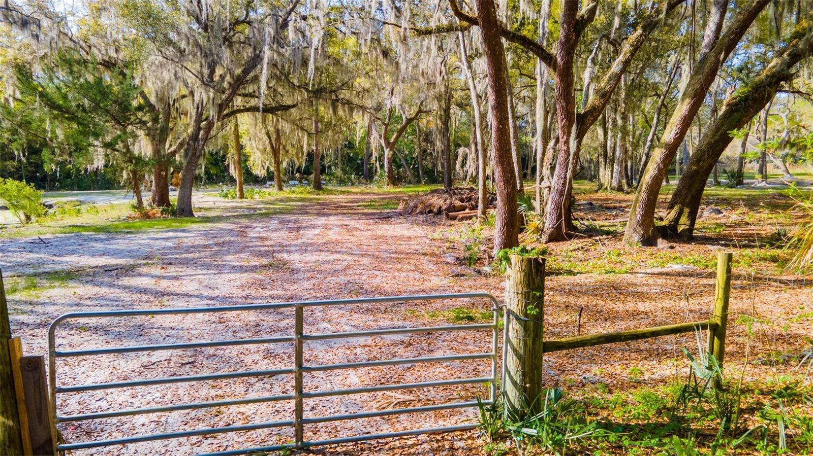 480 CLINTON CEMETERY ROAD