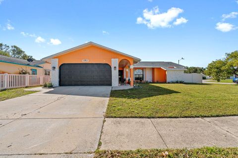 8216 DAMARA DRIVE NEW PORT RICHEY FL 34653