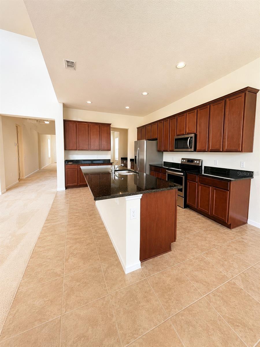 10103 AUSTRINA OAK LOOP