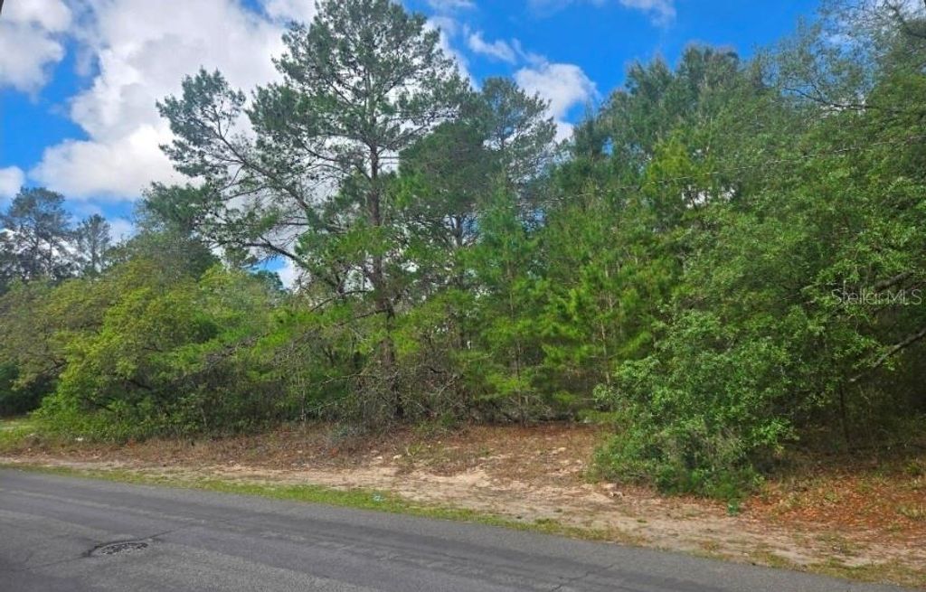 Photo of 4113 Portillo Road, Spring Hill, FL 34608 (MLS # W7884770)