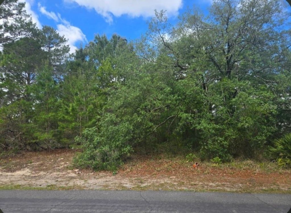 Photo of 4113 Portillo Road, Spring Hill, FL 34608 (MLS # W7884770)