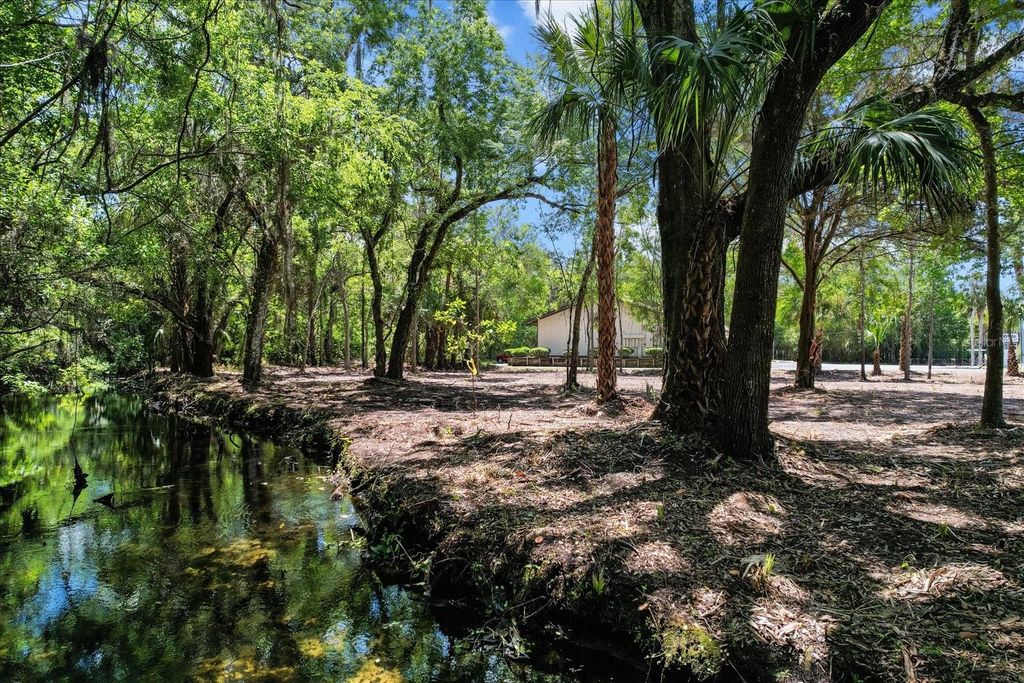 Photo of 1051 N Citrus Avenue, Crystal River, FL 34428 (MLS # OM701737)