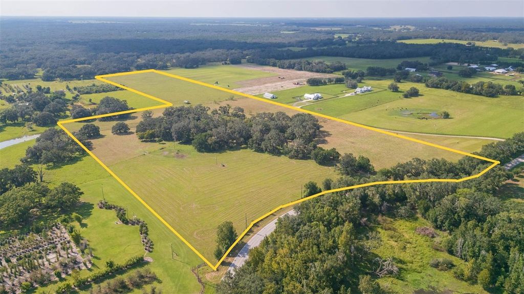 Photo of 16225 Bellamy Brothers Boulevard, Dade City, FL 33525 (MLS # TB8429971)