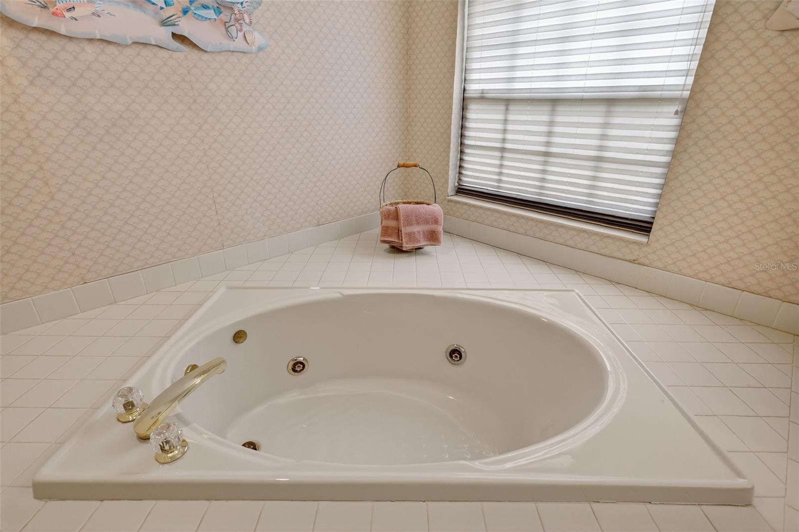 MOUNT DORA HIGH POINT AT LAKE DORA - Residential