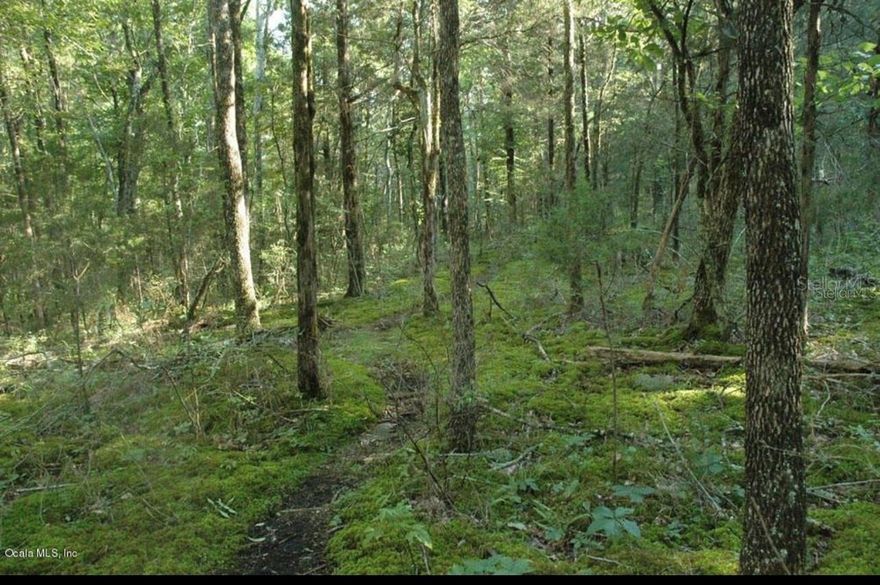 PRICE DROP ALERT 
GREAT LOT TO BUILD YOUR DREAM HOUSE.