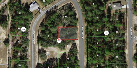 Photo of 11126 N Trigger Terrace, Citrus Springs, FL 34433 (MLS # O6406107)