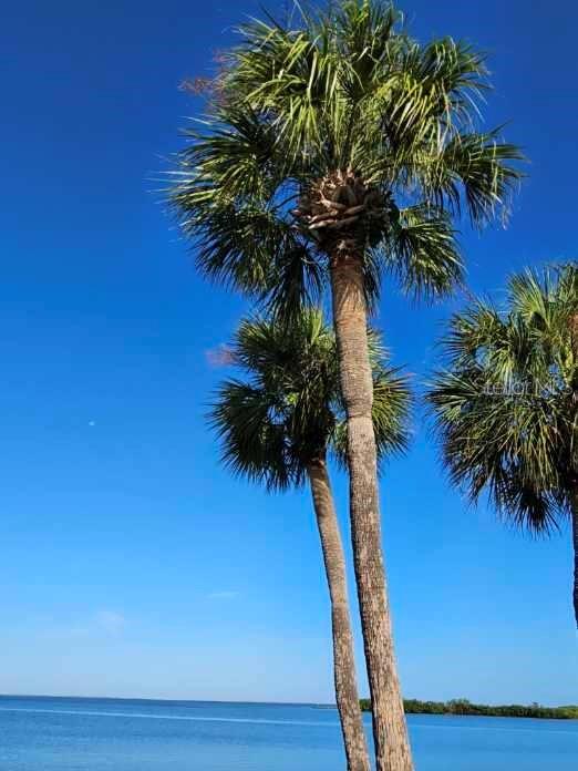 REGENCY COVE A COOPERATIVE - Residential Lease