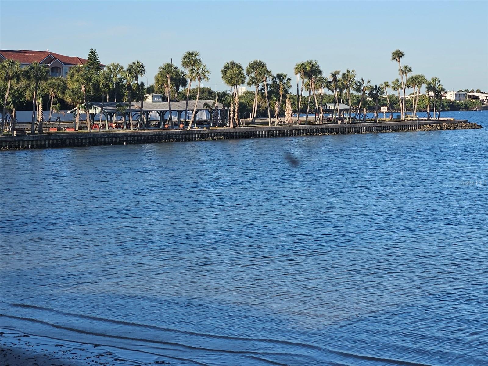 REGENCY COVE A COOPERATIVE - Residential Lease