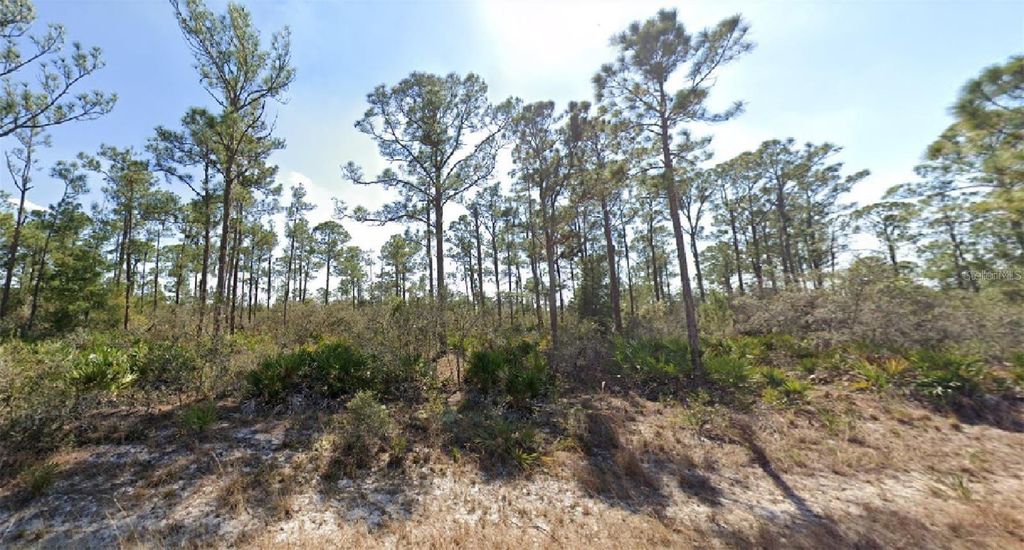 Photo of 3334 Barn Swallow Avenue, Lake Placid, FL 33852 (MLS # O6343282)