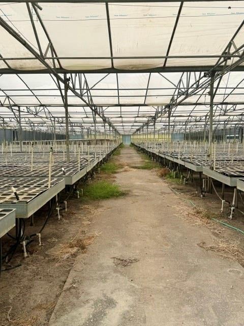 Tiny photo for 33322 County Road 437, Sorrento, FL 32776 (MLS # O6423470)