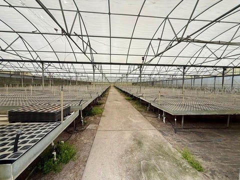 Tiny photo for 33322 County Road 437, Sorrento, FL 32776 (MLS # O6423470)