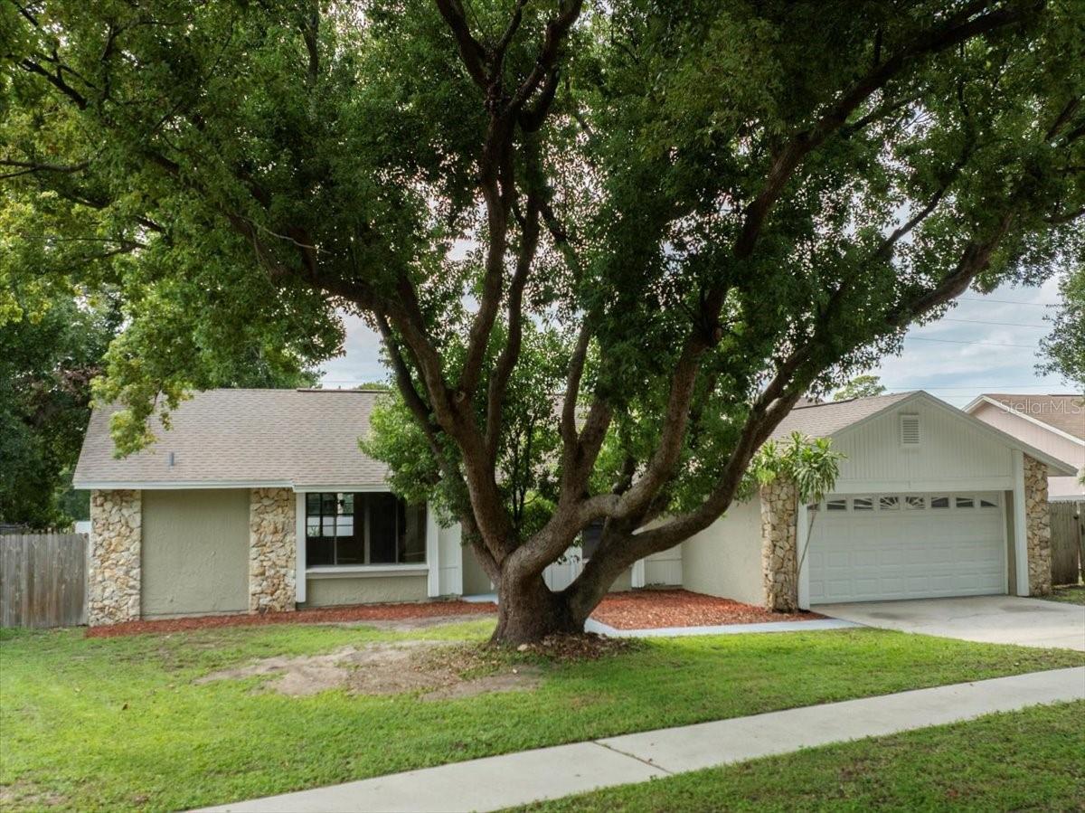 Welcome to the heart of Doctor Phillips, one of Orlando’s most sought-after communities! This charming 3-bedroom, 2-bathroom home offers the perfect blend of comfort, convenience, and location. Tucked in an established neighborhood with no HOA, you’ll enjoy the freedom to truly make this home your own. From the moment you arrive, you’ll appreciate the inviting curb appeal, freshly painted exterior and interior, oversized yard, and the flexibility of having both a living room and a family room—perfect for entertaining or enjoying quiet evenings at home. Inside, the kitchen is a highlight with its natural gas range, ideal for cooking enthusiasts, along with a gas water heater and heater that bring both efficiency and value. The thoughtful floor plan provides a seamless flow between living spaces while maintaining privacy for the bedrooms with a split plan design. The primary suite offers a peaceful retreat with sliding doors that lead to the backyard, while the additional bedrooms are well-sized and versatile for guests, a home office, or playroom. Step outside through the sliding doors off the family room and enjoy your generously sized, screened lanai overlooking the spacious yard, perfect for backyard gatherings, gardening, or simply relaxing in the Florida sunshine. The 2-car garage provides ample space for parking and storage, adding to the home’s practicality. All of this is set in an unbeatable location—just moments from Trader Joe’s, Restaurant Row, and everything Doctor Phillips has to offer, plus easy access to I-4 for quick commutes to Downtown Orlando, theme parks, and beyond. Here, you’re not just buying a house—you’re choosing a lifestyle filled with convenience, comfort, and the best of Orlando right at your doorstep. Don’t miss this rare chance to call Doctor Phillips home—schedule your showing today!