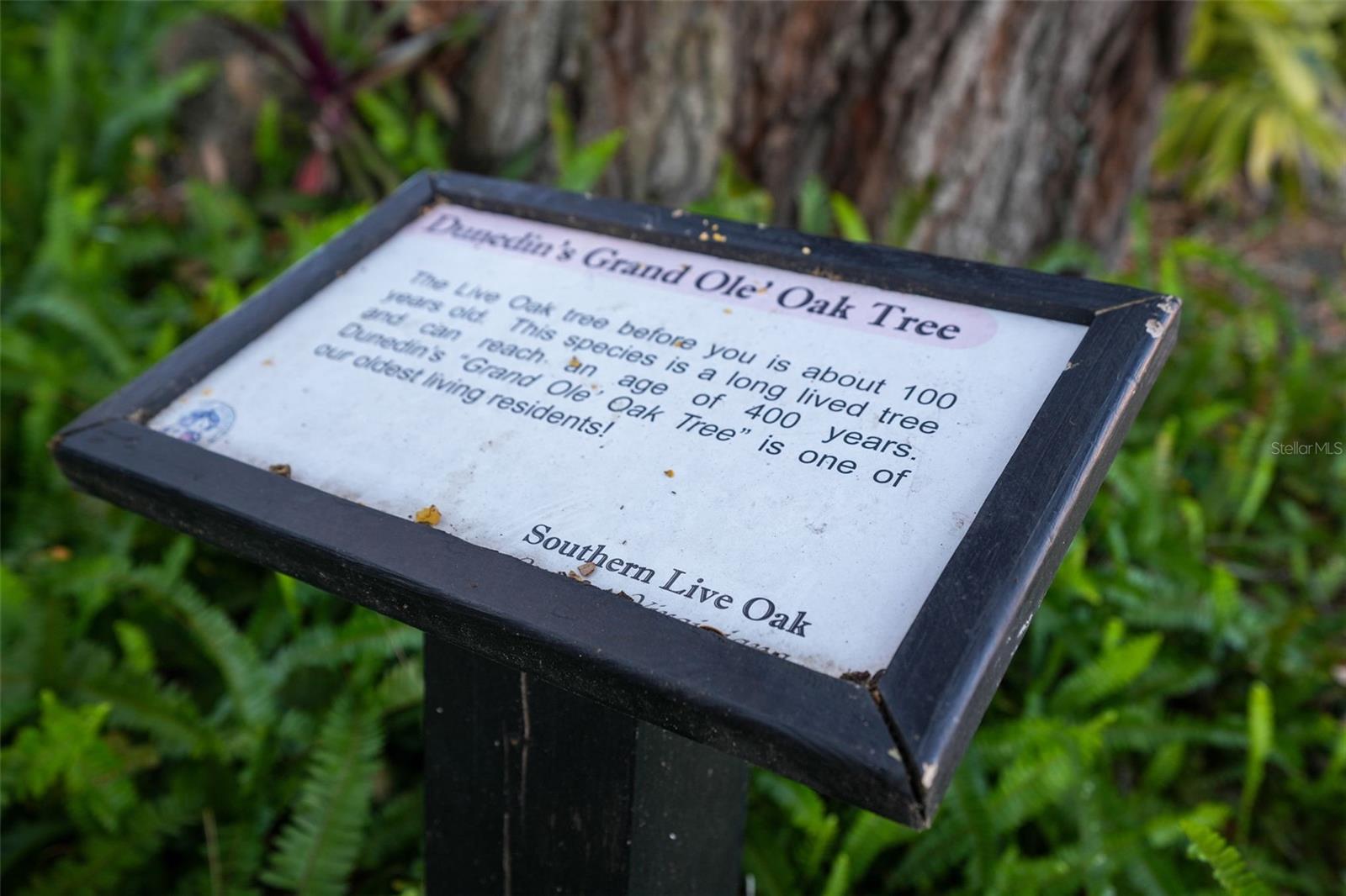 FAIRWAY ESTATES - Residential