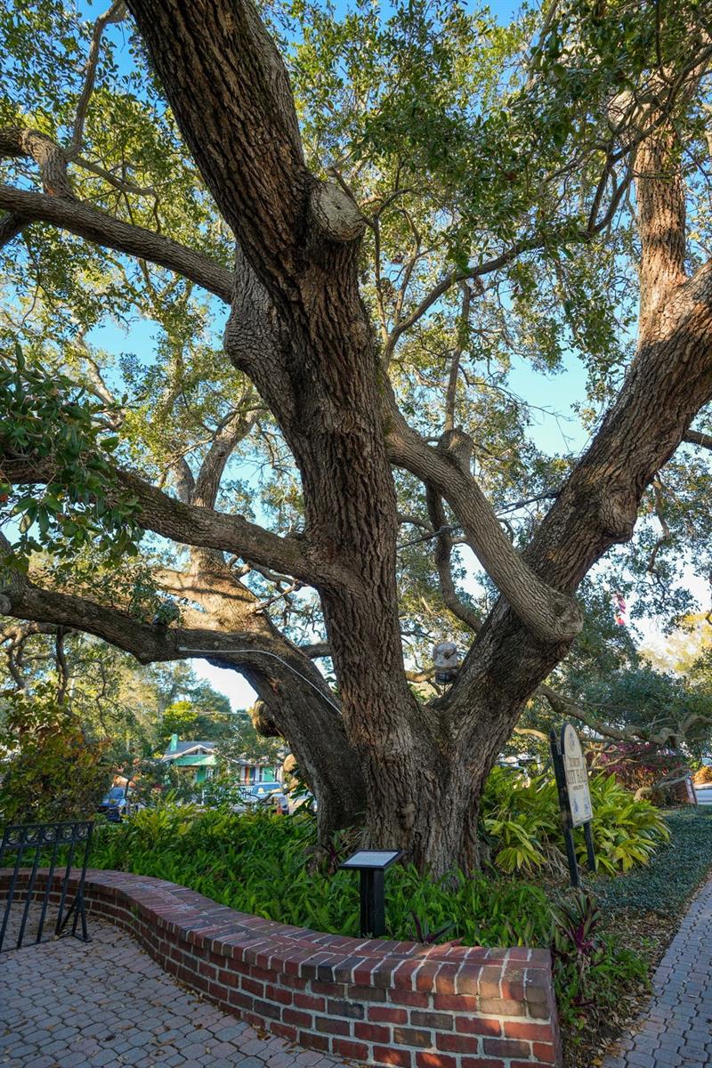 FAIRWAY ESTATES - Residential