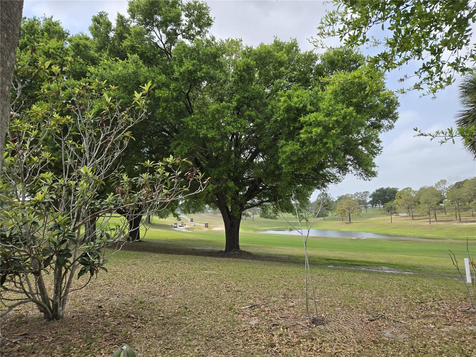 BANBURY VILLAGE CONDO - Residential