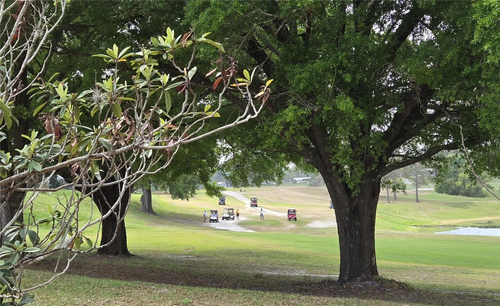 BANBURY VILLAGE CONDO - Residential
