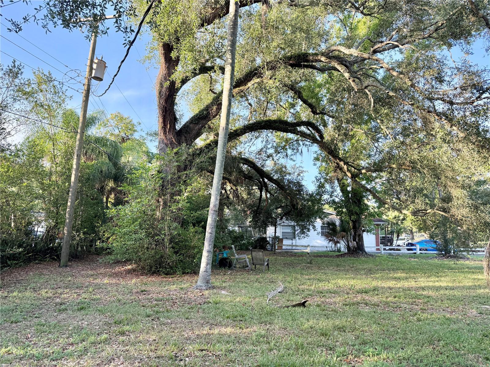 304 SPRINGDALE PLACE