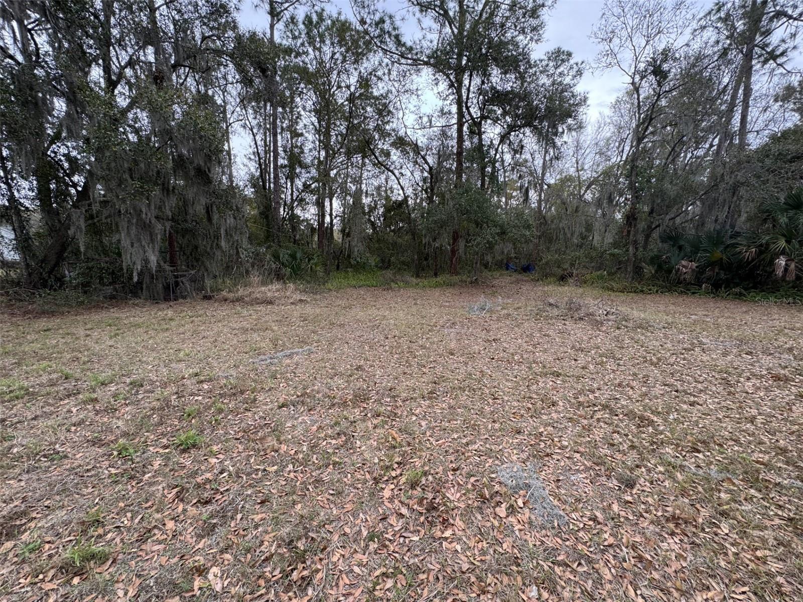 MILLSITE SHORES - Residential