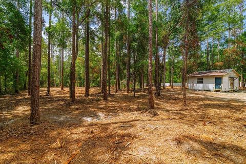 569 NE 356TH AVENUE OLD TOWN FL 32680