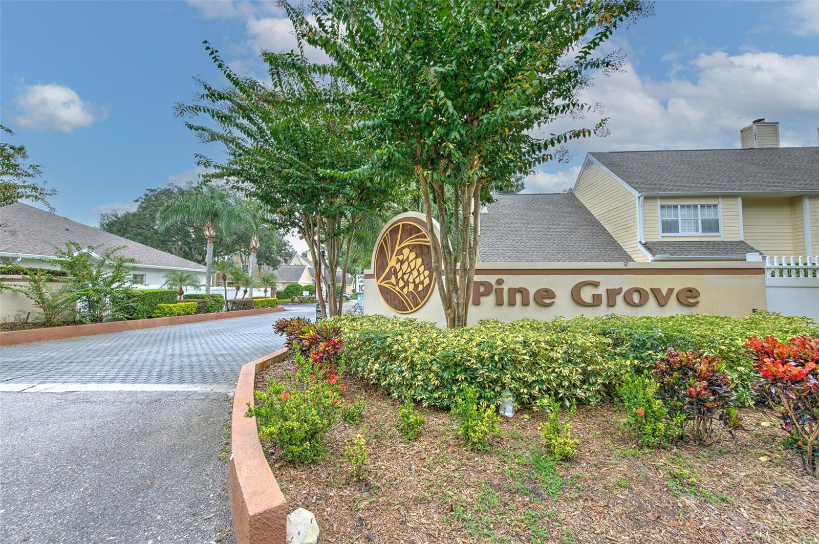 PINE GROVE CONDO AT BLOO - Residential