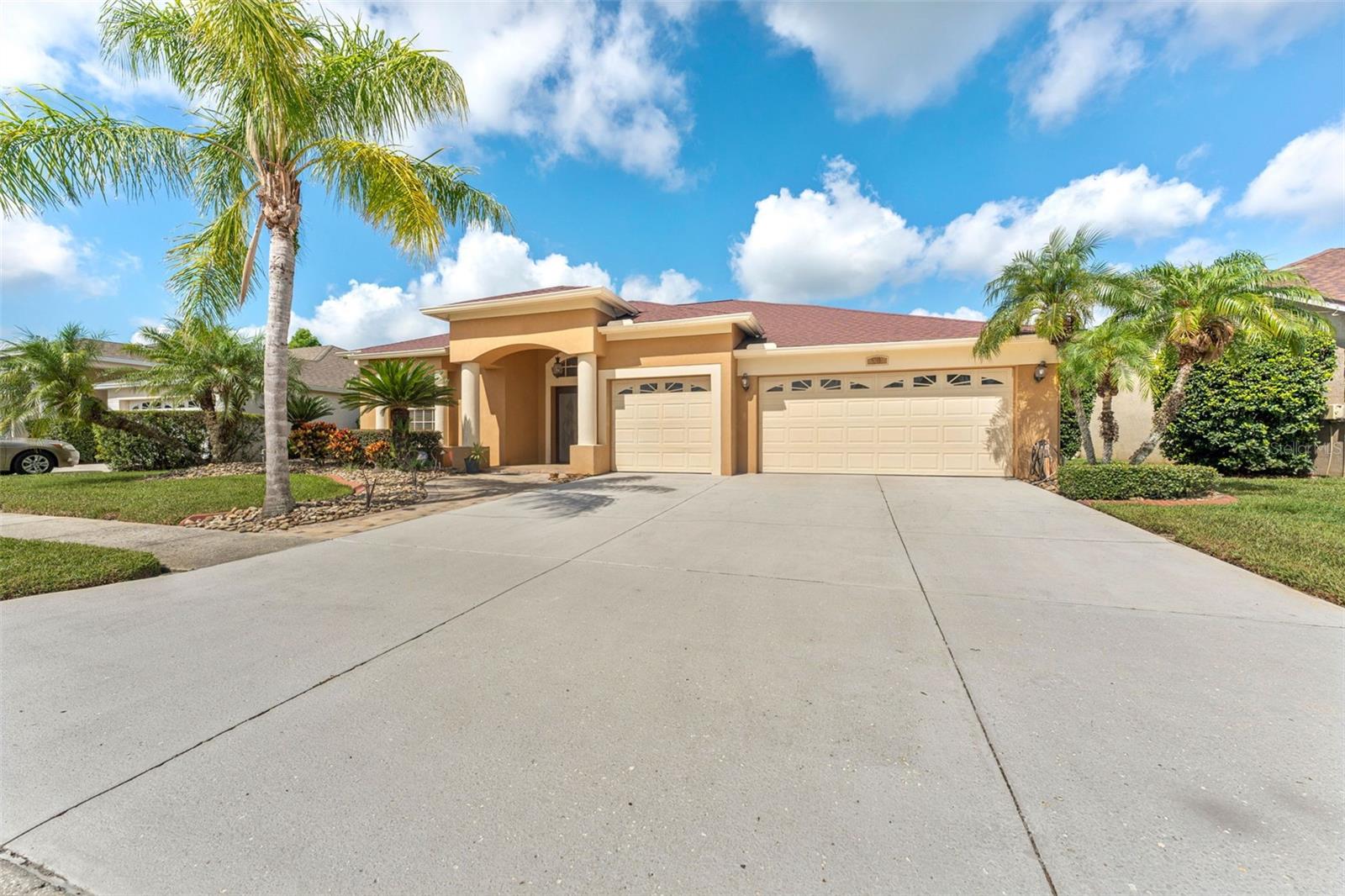 5309 SPECTACULAR BID DRIVE