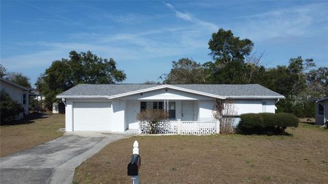 Photo of 100 S Fillmore Street, Beverly Hills, FL 34465 (MLS # OM719773)