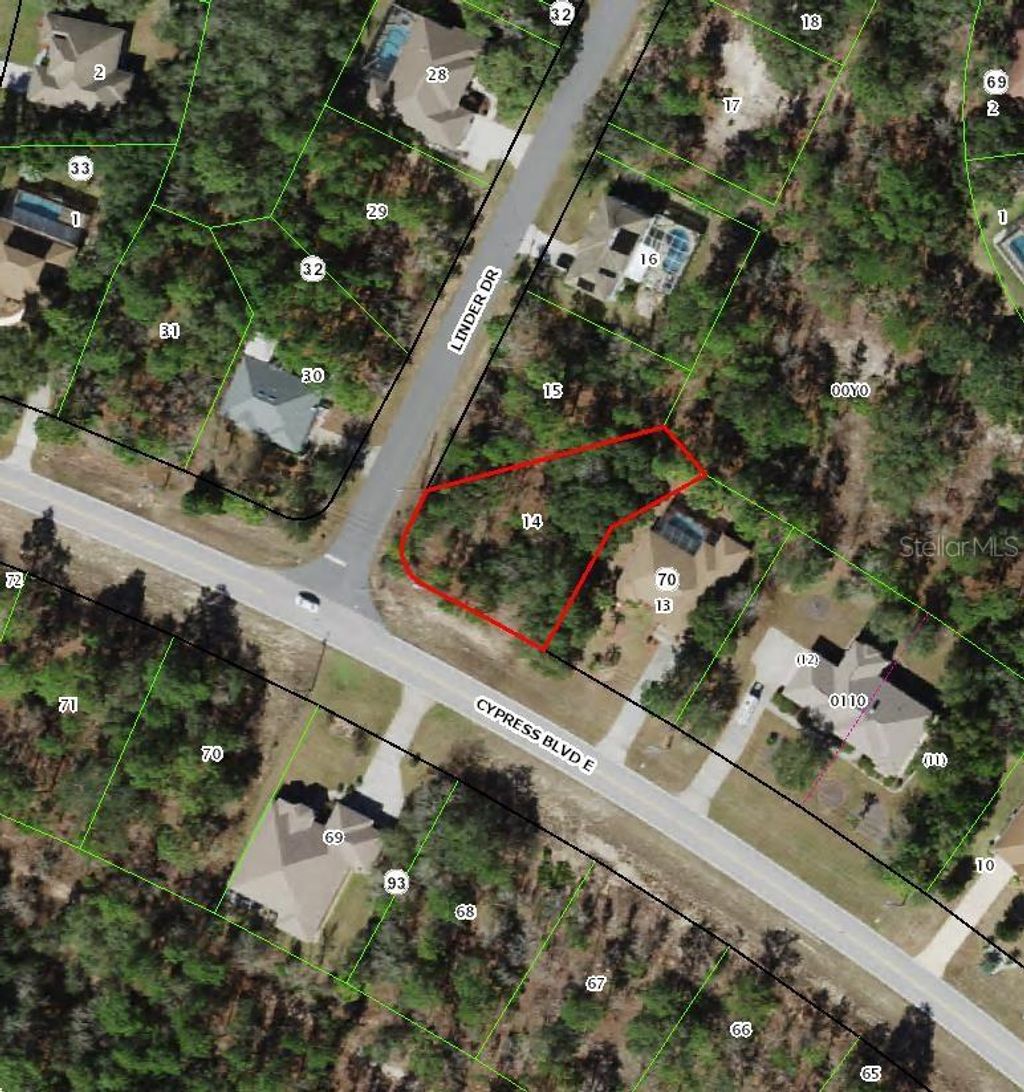 Photo of 228 Linder Drive, Homosassa, FL 34446 (MLS # TB8510079)