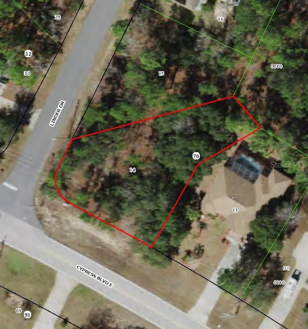 Photo of 228 Linder Drive, Homosassa, FL 34446 (MLS # TB8510079)