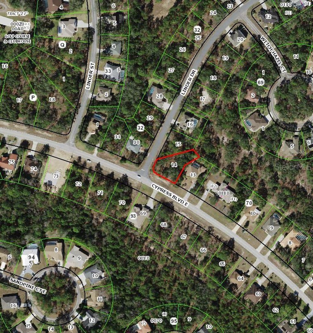 Photo of 228 Linder Drive, Homosassa, FL 34446 (MLS # TB8510079)