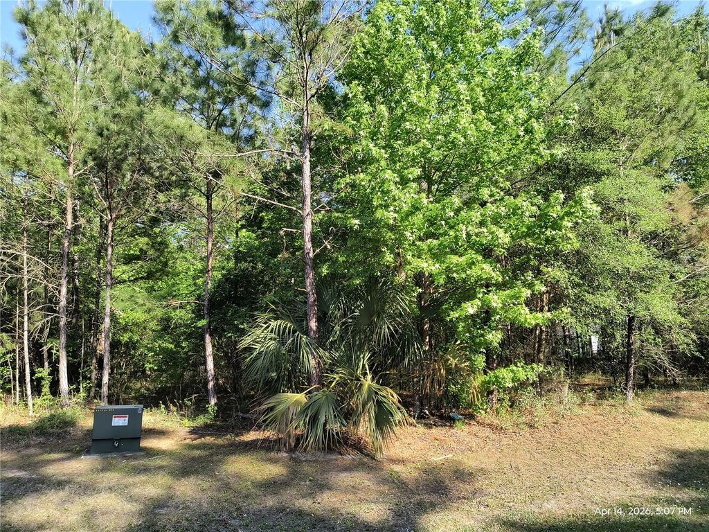 Photo of Tbd NW 141st Avenue, Williston, FL 32696 (MLS # OM723999)