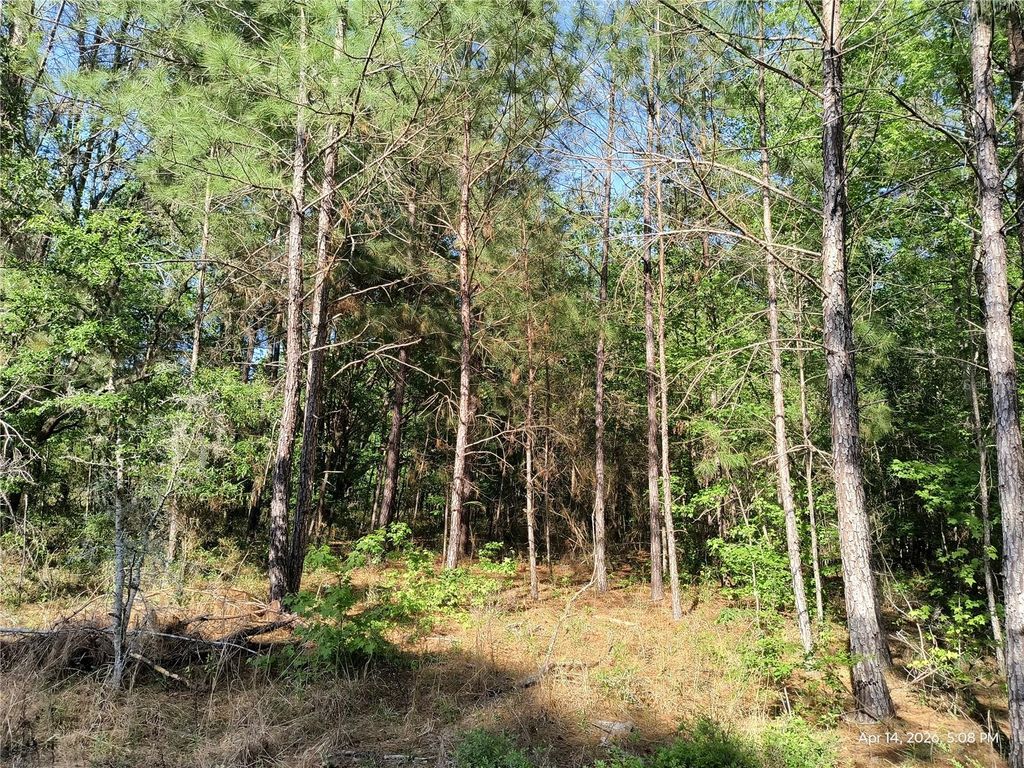 Photo of Tbd NW 141st Avenue, Williston, FL 32696 (MLS # OM723999)