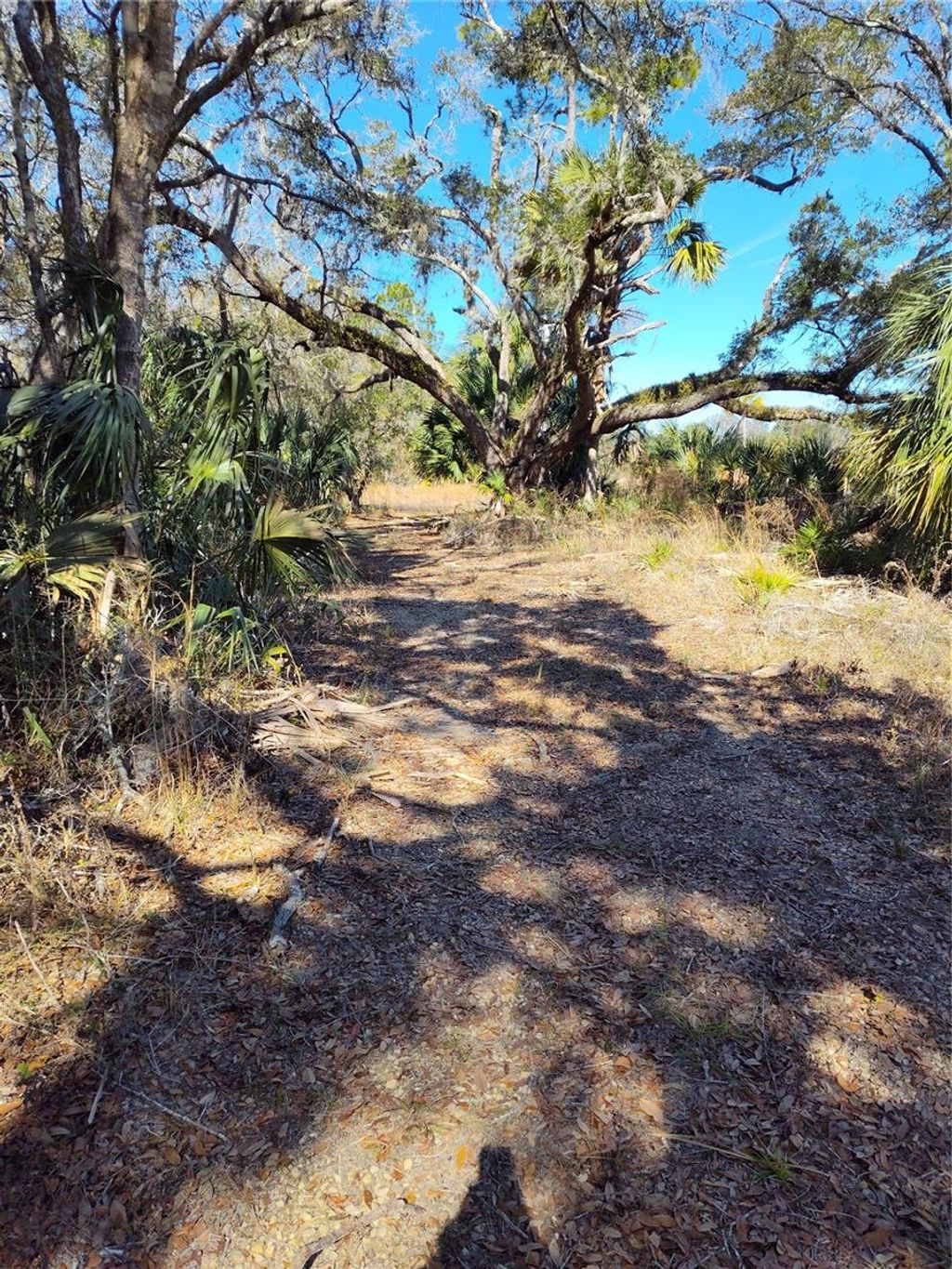 Photo of 6724 N Bugbee Point, Crystal River, FL 34428 (MLS # OM693809)