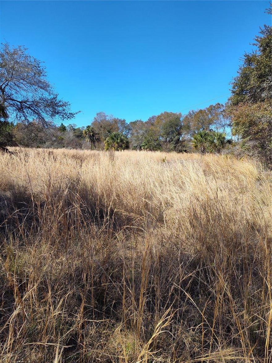 This 1-acre, vacant lot is a great opportunity to create your own private oasis. With ample space and a peaceful setting, this property is just waiting for your dream home or investment project. Enjoy the natural beauty of the area, while still being close to local springs, parks, and all the amenities Crystal River has.