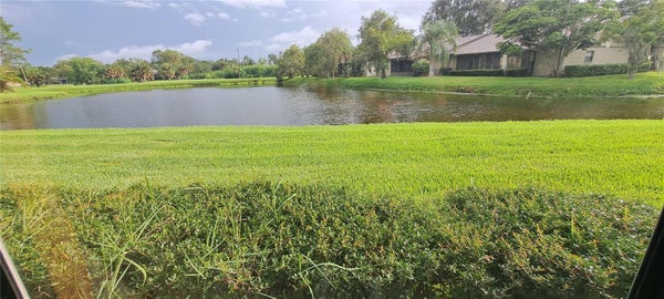 60 KAY CT, OLDSMAR, FL 34677 - Image b9de93ff619b3c26ecd8d005a692f3de/983168196